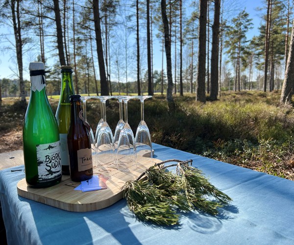 Skål i skogen