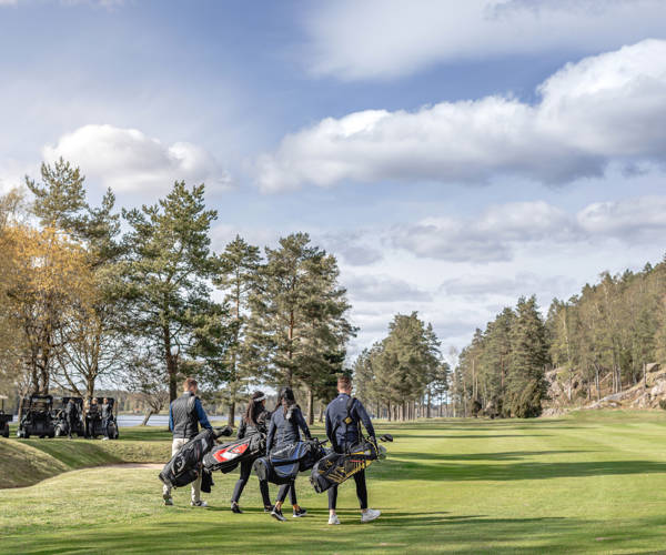 Höstgolfpåhook